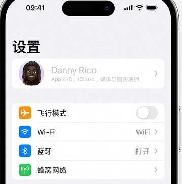 布拖appleID维修服务iPhone设置中Apple ID显示为灰色无法使用 