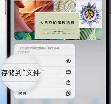 布拖apple维修中心分享iPhone文件应用中存储和找到下载文件