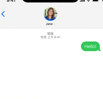 布拖apple维修iPhone上无法正常发送iMessage信息