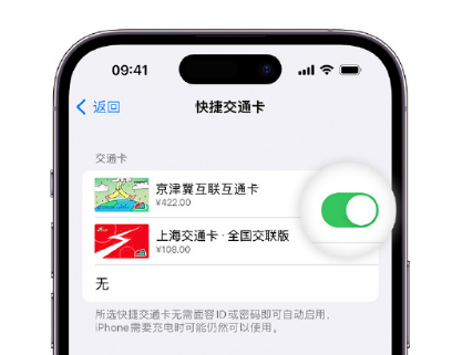 布拖apple维修点分享iPhone上更换Apple Pay快捷交通卡手绘卡面 