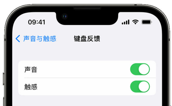 布拖苹果手机维修分享iPhone 14触感键盘使用方法 