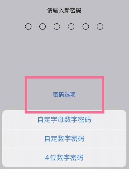 布拖苹果14维修分享iPhone 14plus设置密码的方法 