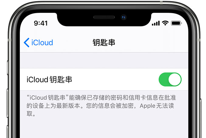 布拖苹果手机维修分享在 iPhone 上开启 iCloud 钥匙串之后会储存哪些信息 