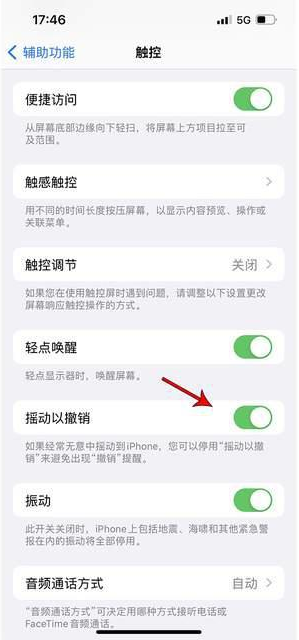 布拖苹果手机维修分享iPhone手机如何设置摇一摇删除文字 